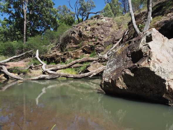 Creek near the Campsite